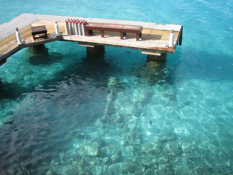 Jetty at Buddy Dive